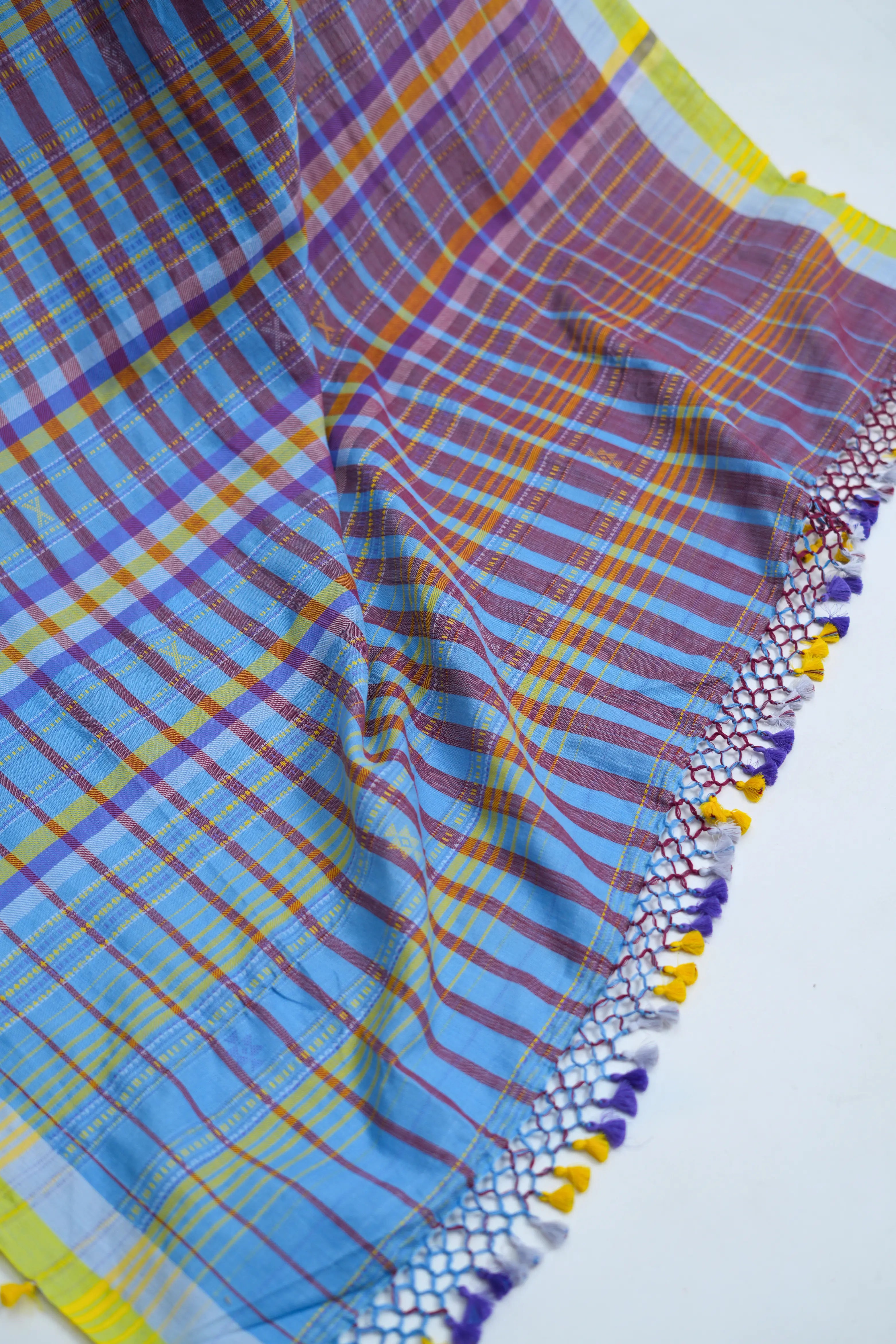 Detailed close-up of the multidimensional check pattern and multicolour tassel fringe on the pallu edge